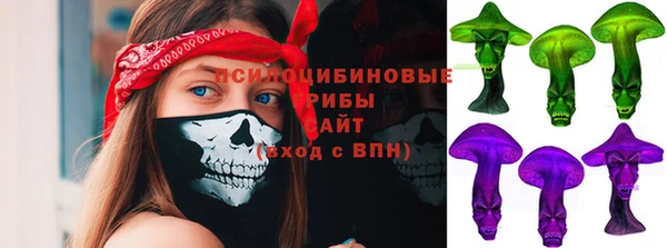 соль ск Алексеевка