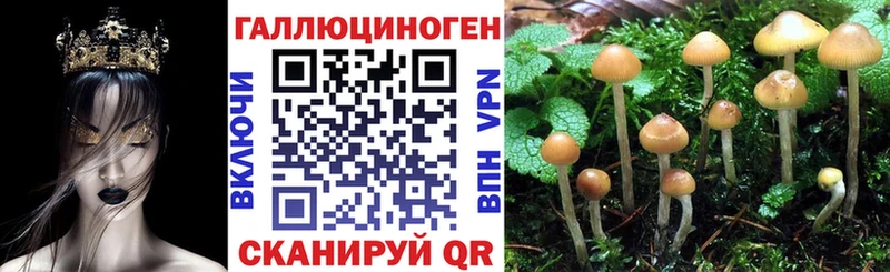 цена Хотьково Псилоцибиновые грибы MAGIC MUSHROOMS
